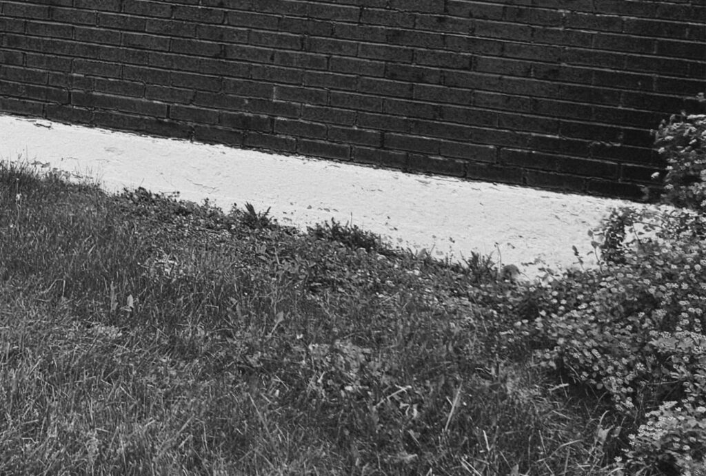 rituel-toujours-le-coeur